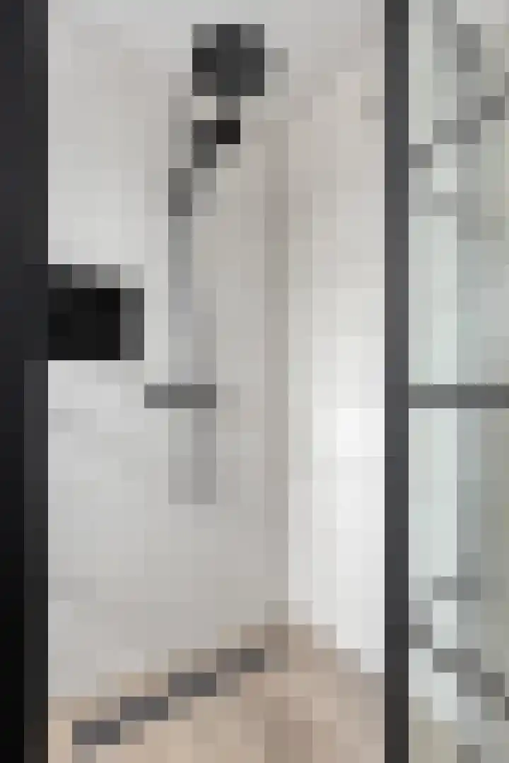 Aak 5 Gorredijk thumbnail 25