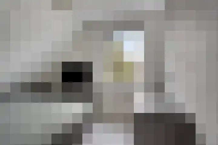 Aak 5 Gorredijk thumbnail 28