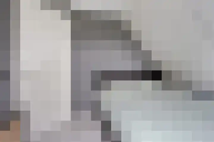 Aak 5 Gorredijk thumbnail 29