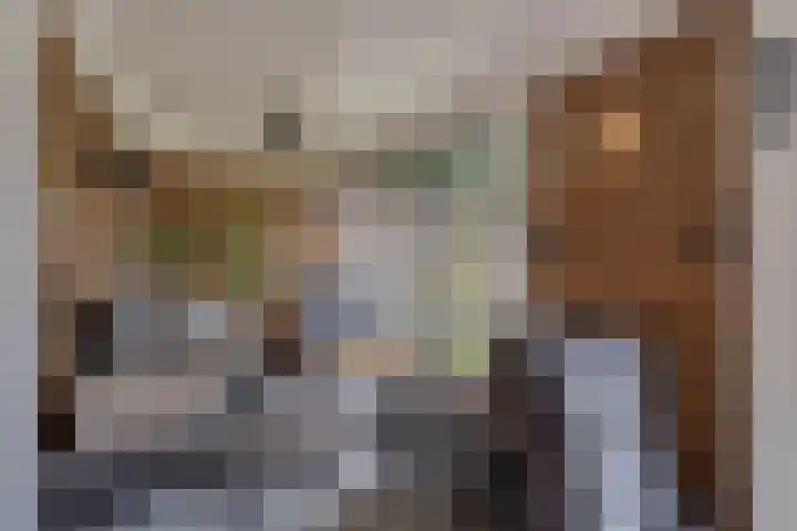 Aak 5 Gorredijk thumbnail 35