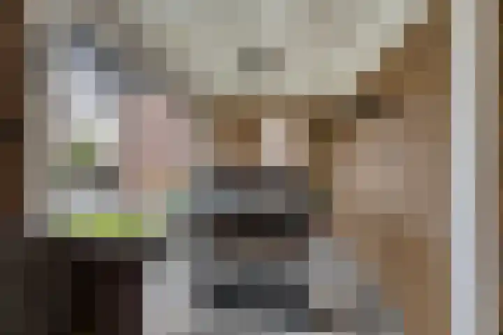 Aak 5 Gorredijk thumbnail 36