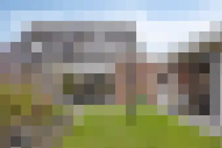 Aak 5 Gorredijk thumbnail 39