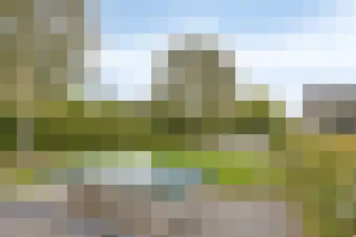 Aak 5 Gorredijk thumbnail 41