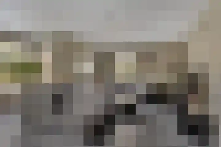 Aak 5 Gorredijk thumbnail 6