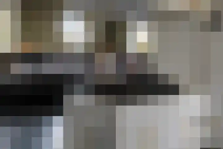 Aak 5 Gorredijk thumbnail 7