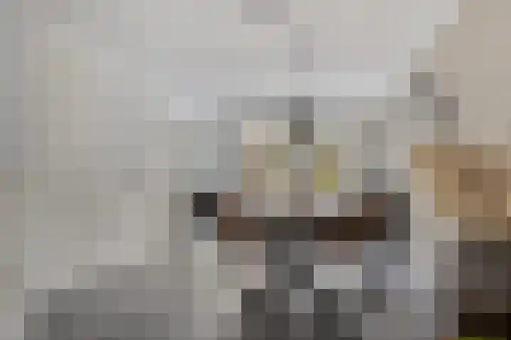 Aak 5 Gorredijk thumbnail 8