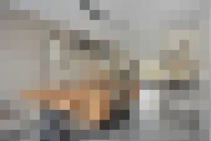 Aak 5 Gorredijk thumbnail 9