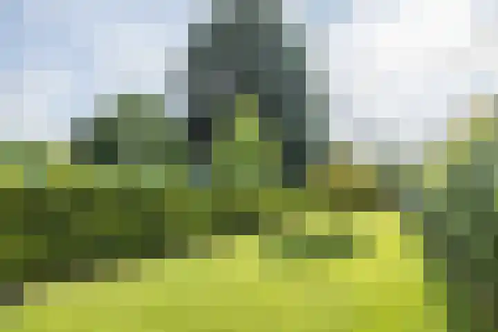 Aalbekerweg 12 Hulsberg thumbnail 32