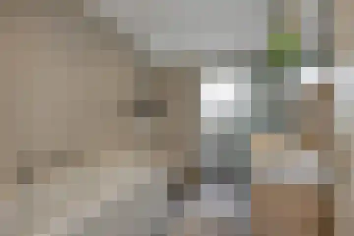 Aalbersestraat 36 Oss thumbnail 17
