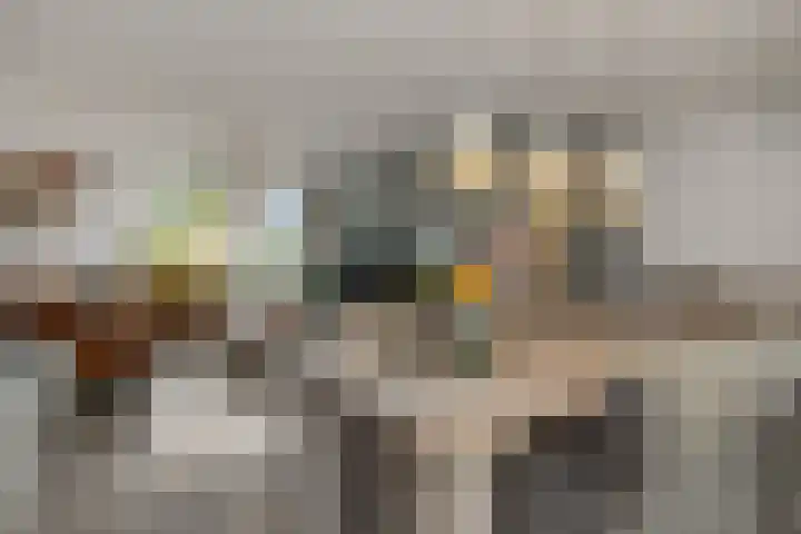Aalbersestraat 36 Oss thumbnail 5