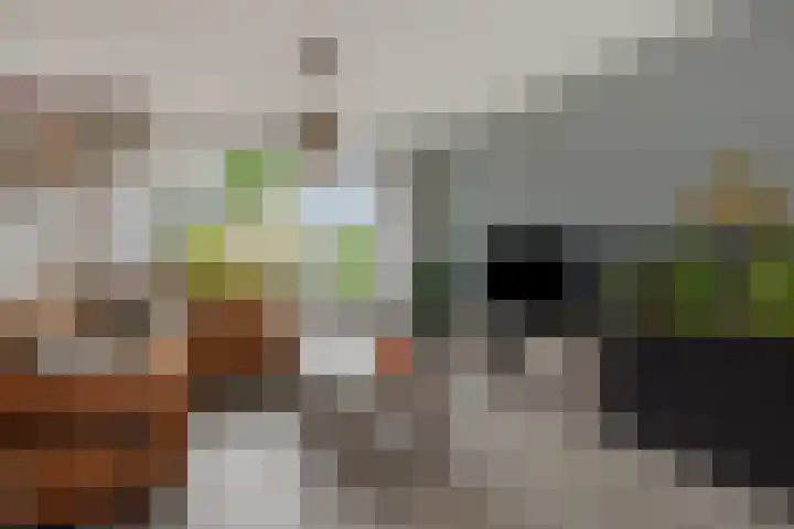 Aalbersestraat 36 Oss thumbnail 8