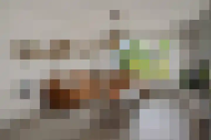 Aalbersestraat 36 Oss thumbnail 9