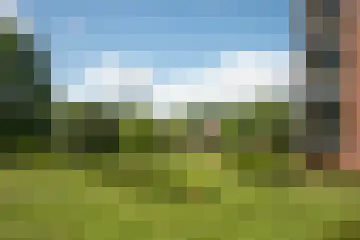 Aalderinkshof 92 Almelo thumbnail 39