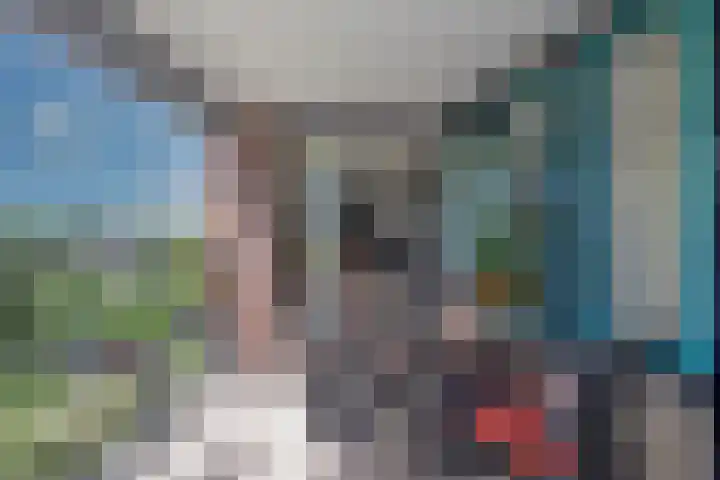 Aalderinkshof 92 Almelo thumbnail 4