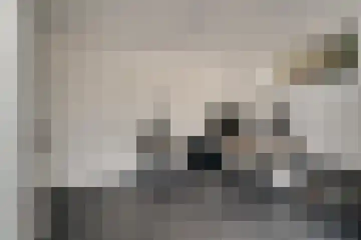 Aalsburg 2001 Wijchen thumbnail 22