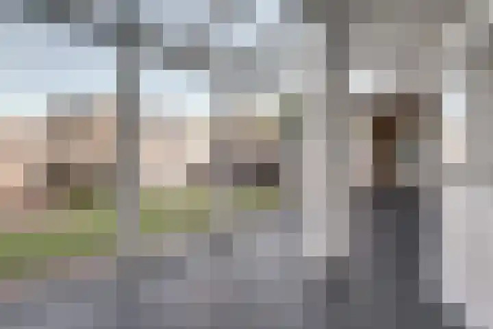 Aalsburg 2001 Wijchen thumbnail 24