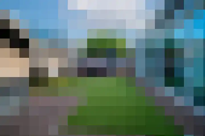 Aalsburg 2001 Wijchen thumbnail 30