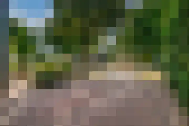 Aalsburg 2001 Wijchen thumbnail 52