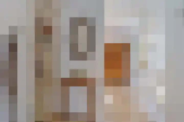 Aalscheer 3 Borne thumbnail 12