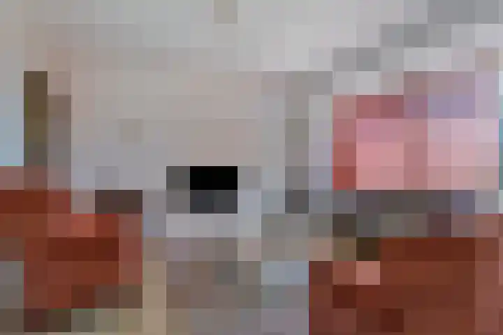 Aalscheer 3 Borne thumbnail 14