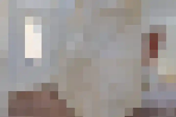 Aalscheer 3 Borne thumbnail 26