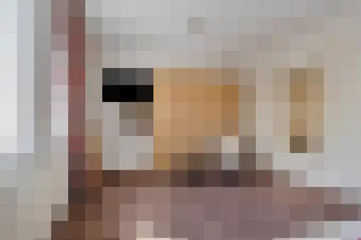 Aalscheer 3 Borne thumbnail 29