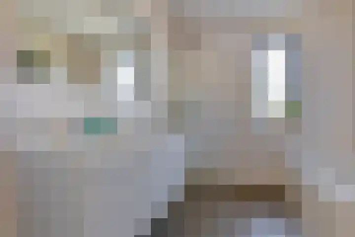 Aalscheer 3 Borne thumbnail 31