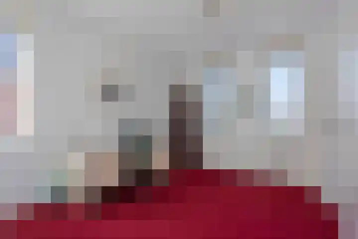 Aalscheer 3 Borne thumbnail 34
