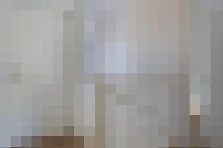 Aalscheer 3 Borne thumbnail 35