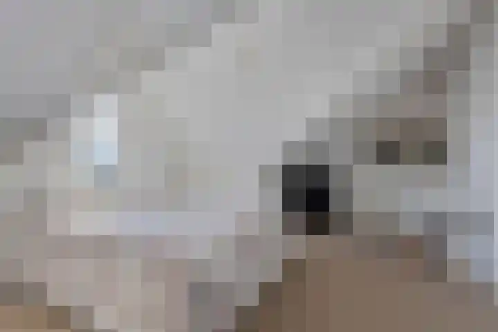 Aalscheer 3 Borne thumbnail 36