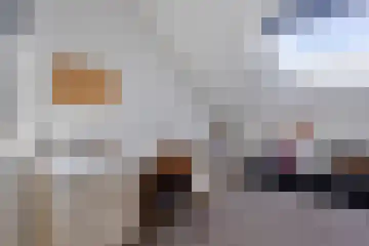 Aalscheer 3 Borne thumbnail 39