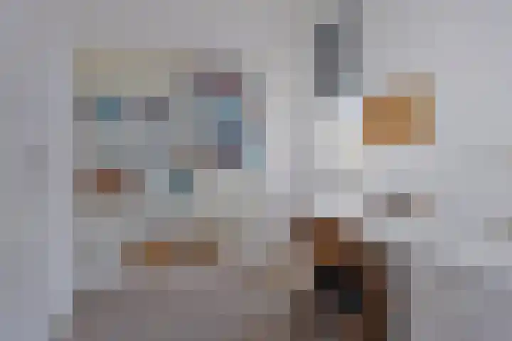 Aalscheer 3 Borne thumbnail 40
