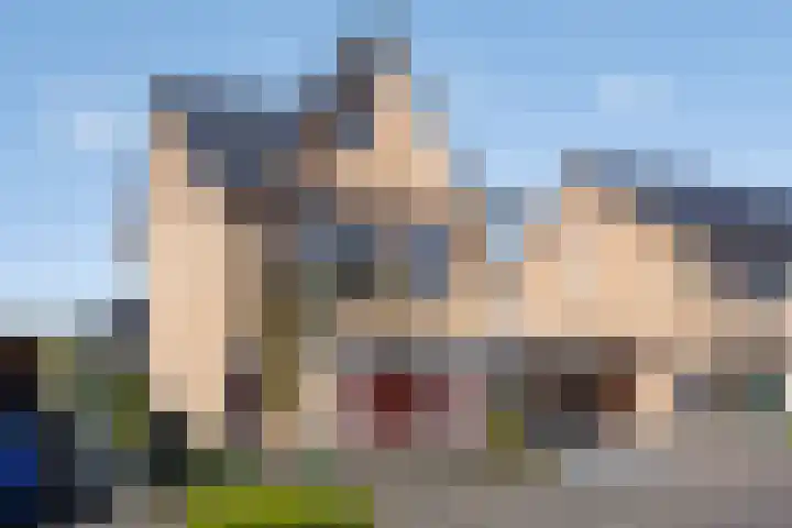 Aalscheer 3 Borne thumbnail 43