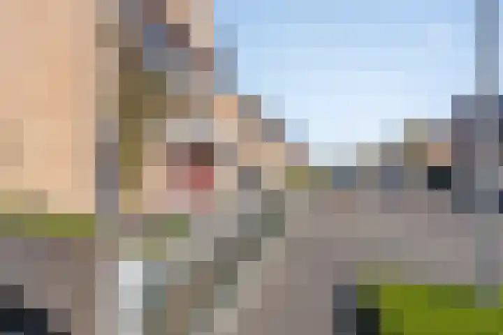 Aalscheer 3 Borne thumbnail 44