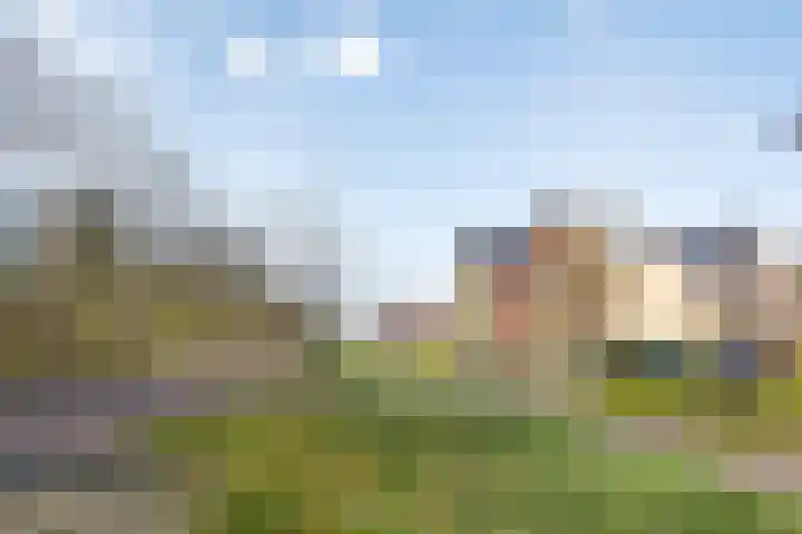 Aalscheer 3 Borne thumbnail 46