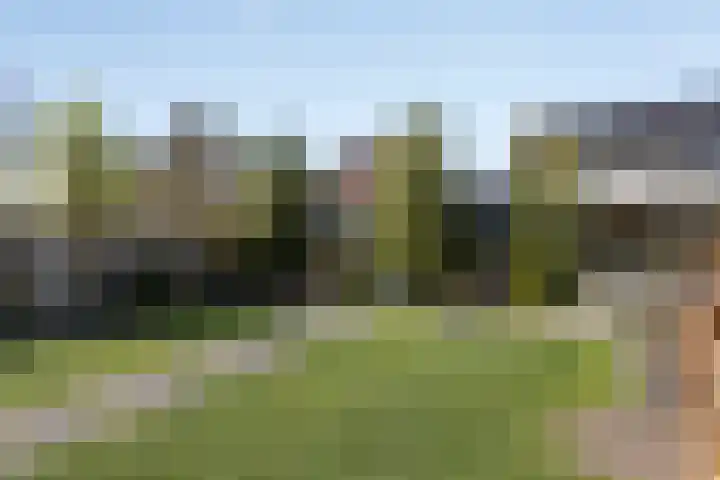 Aalscheer 3 Borne thumbnail 7