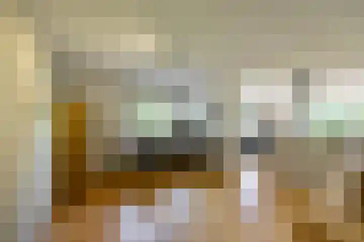 Aalscholver 20 Groningen thumbnail 12
