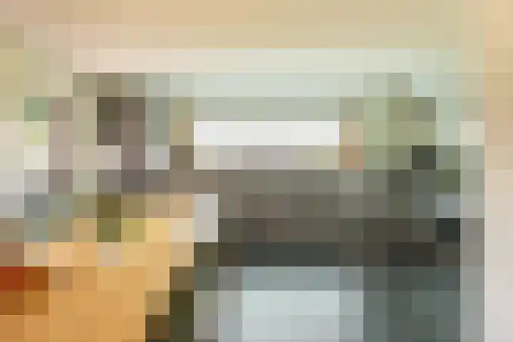Aalscholver 20 Groningen thumbnail 15