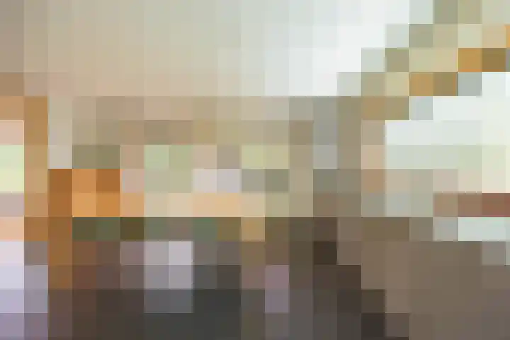 Aalscholver 20 Groningen thumbnail 16
