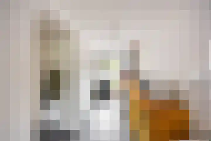 Aalscholver 20 Groningen thumbnail 18
