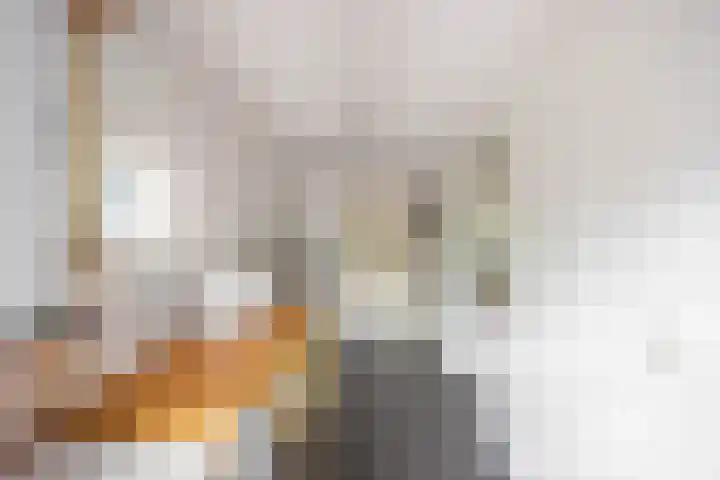 Aalscholver 20 Groningen thumbnail 19