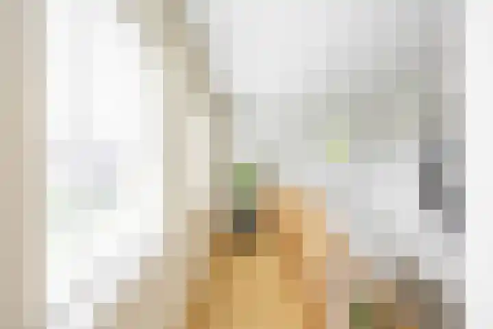 Aalscholver 20 Groningen thumbnail 26