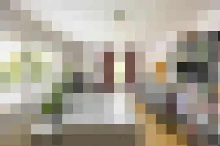 Aalscholver 20 Groningen thumbnail 34