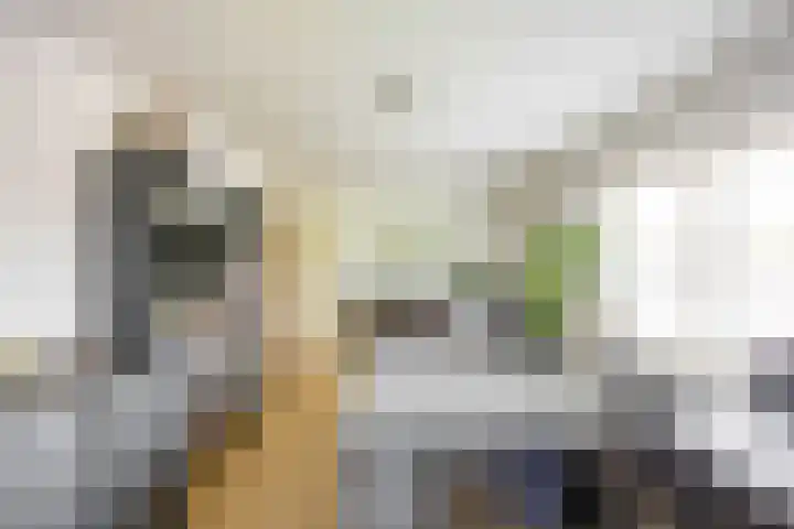 Aalscholver 20 Groningen thumbnail 35
