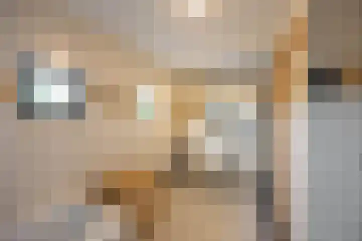 Aalscholver 20 Groningen thumbnail 37