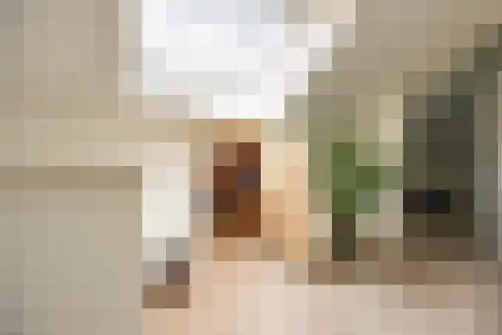 Aalscholver 20 Groningen thumbnail 45