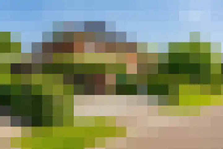 Aalscholver 20 Groningen thumbnail 54