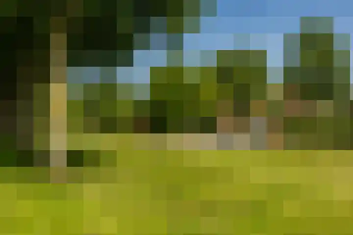 Aalscholver 20 Groningen thumbnail 56