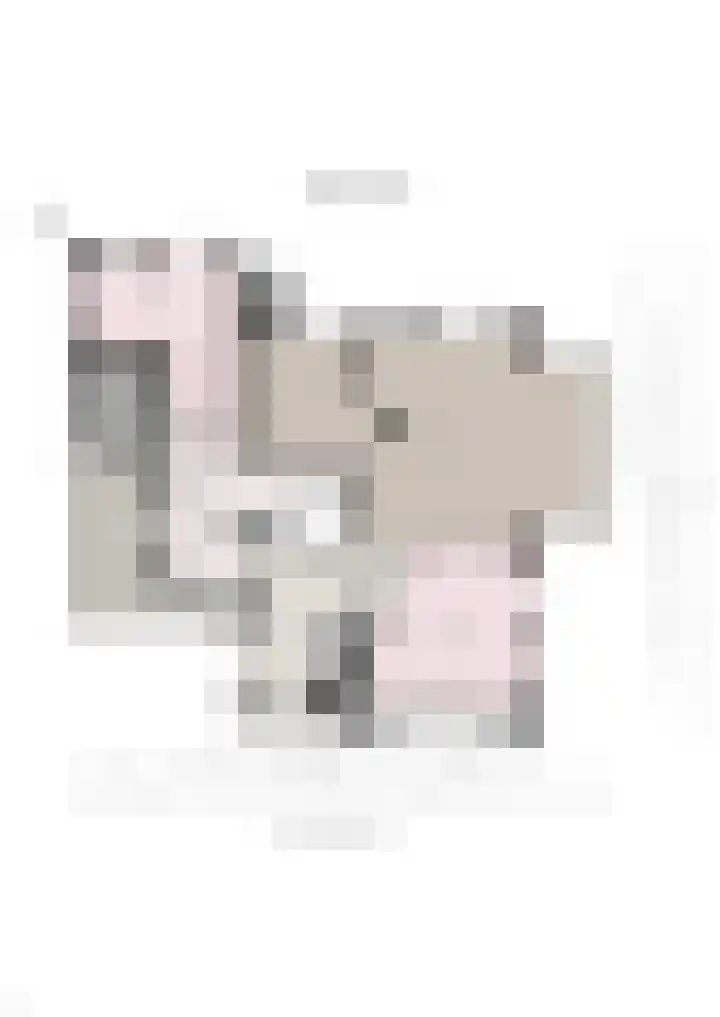 Aalscholver 20 Groningen thumbnail 57