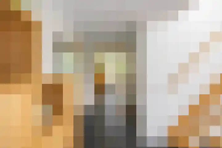 Aalscholver 20 Groningen thumbnail 7